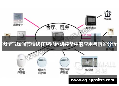 微型气压调节模块在智能运动装备中的应用与前景分析